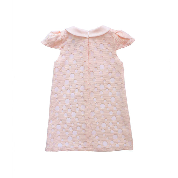 Alli.C, baby girl and toddler pink dress with back invisible zipper closure, cap sleeves and peter pan collar.